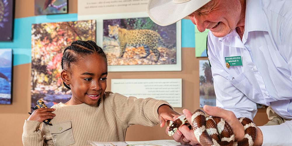 A docent interprets a native snake to a young child